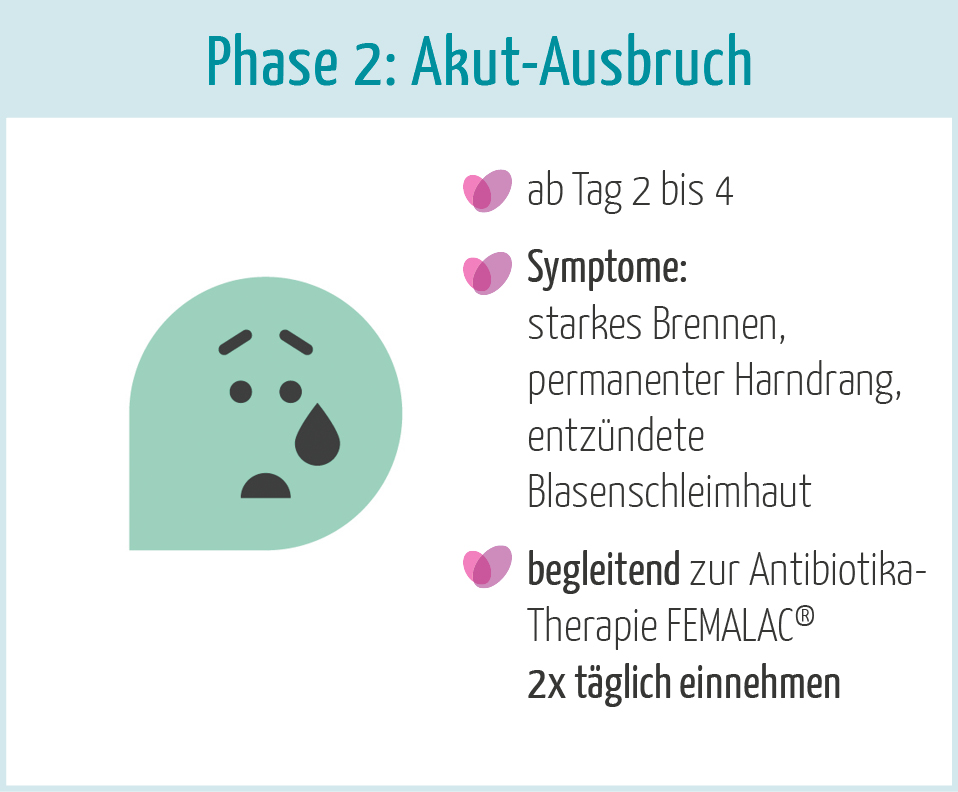 Phase 2 des Verlaufs einer Blasenentzündung: Akut-Ausbruch.